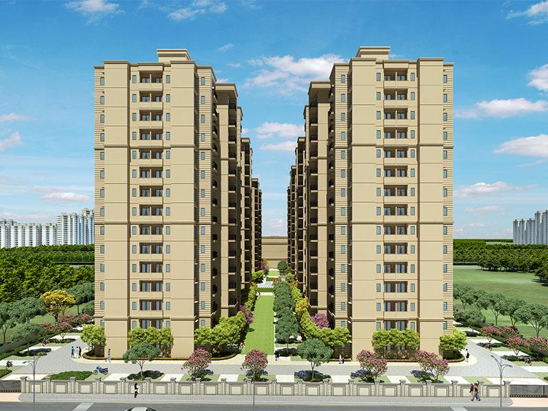 Signature The Millennia 3